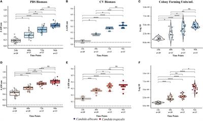 Evaluation of the biofilm life cycle between Candida albicans and Candida tropicalis